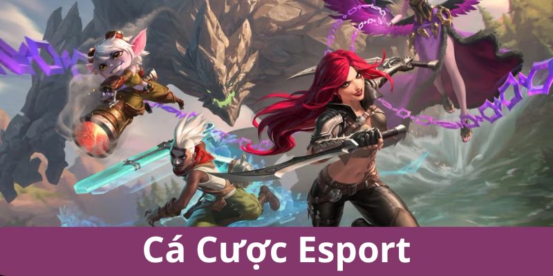 Sinh lời cá cược Esport